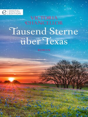 cover image of Tausend Sterne über Texas